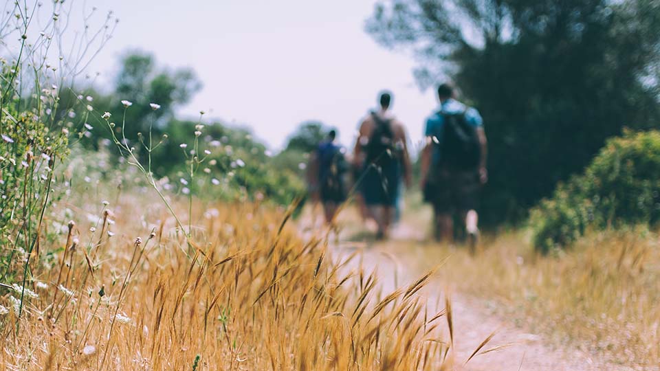 Auf dem Bild sind zwei Wanderer inmitten einer atemberaubenden Berglandschaft zu sehen. Sie befinden sich auf einem schmalen Pfad, der sich entlang eines grünen Berghangs schlängelt.